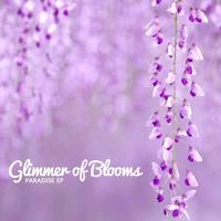 Glimmer of Blooms