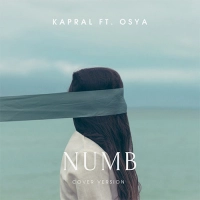 DJ Kapral, Osya - Отшумели Летнии Дожди