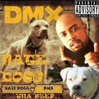 DMX - Dogs Out