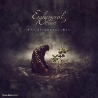 Ephemeral - Frogs Rain