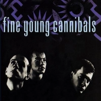 Fine Young Cannibals - She Drives Me Crazy