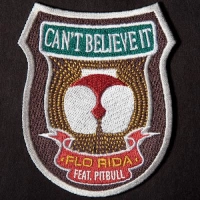 Flo Rida, Pitbull - Can T Believe It (Eddi Royal Feat. Dj Dimixer & Dj Viduta Remix)
