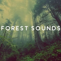 Mind Forest - Natural Theme (Original Mix)