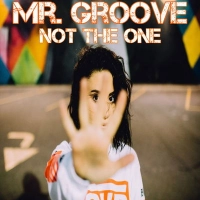 Mr. Groove - It's Really That Simple! (Radio Edit)