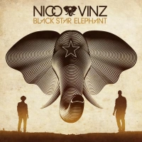 Nico, Vinz - Am I Wrong (Gordon & Doyle Radio Edit)