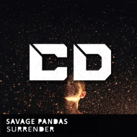 Savage Pandas - Sabor (Original Mix)