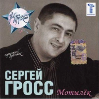 Сергей Гросс - Дочкин Вальс