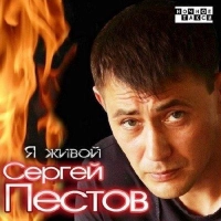 Сергей Пестов - Зима