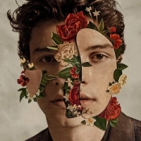 Shawn Mendes - Don't Be A Fool