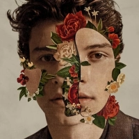 Shawn Mendes - There's Nothing Holdin' Me Back