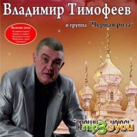 Владимир Тимофеев - Батя